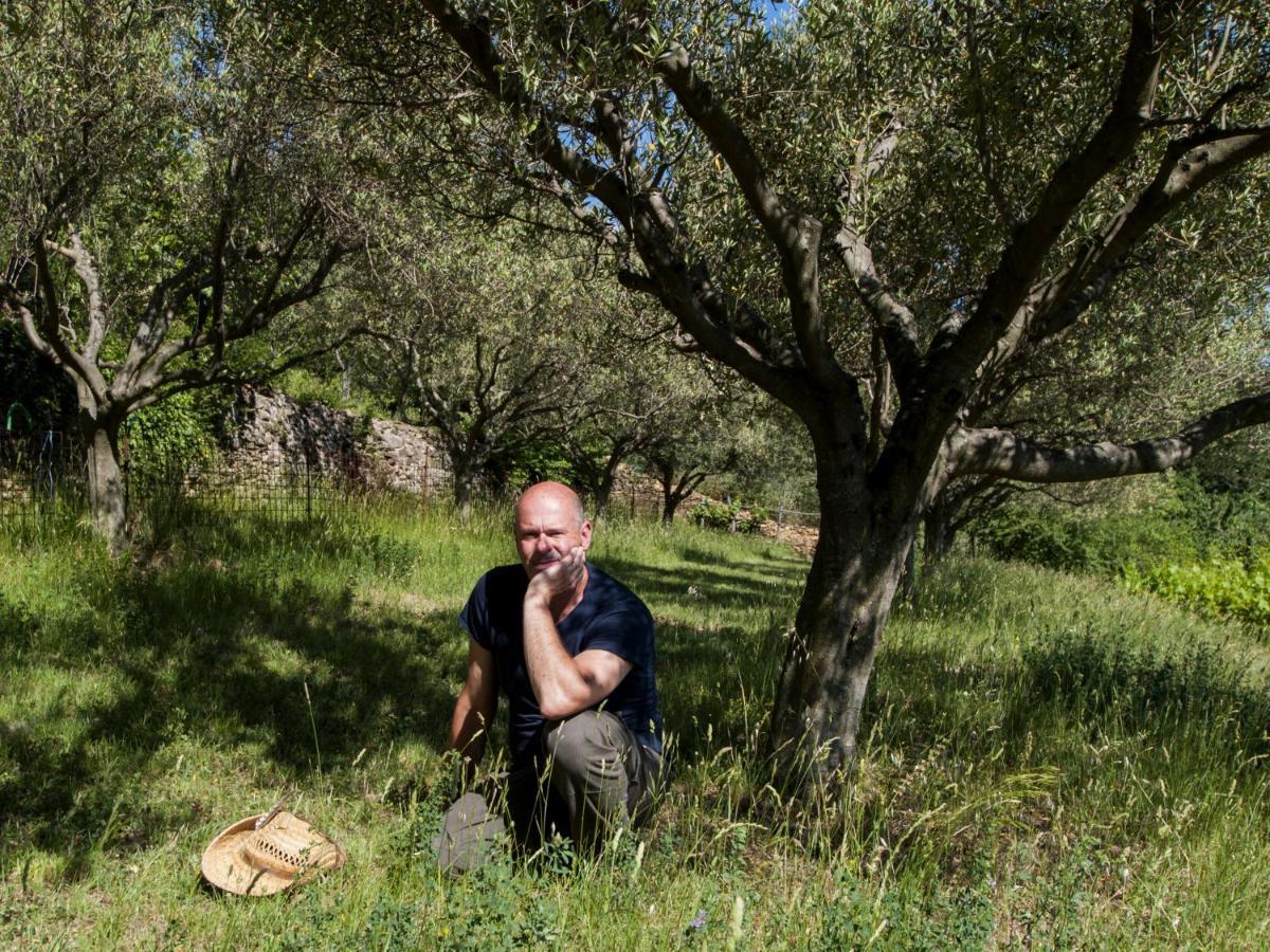 לינה וארוחת בוקר San Dorligo della Valle Il Glicine מראה חיצוני תמונה